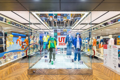 鞋帽零售業(yè) 挑戰(zhàn)、趨勢(shì)與未來(lái)發(fā)展方向