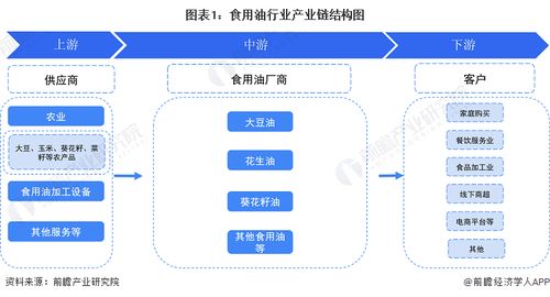食用油行業(yè)產(chǎn)業(yè)鏈全景梳理與互聯(lián)網(wǎng)接入服務區(qū)域熱力地圖分析